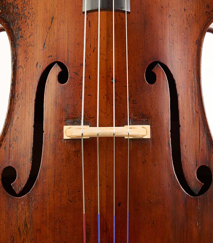 Social photography for animals at Tudor Photography Banbury