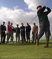 Social photography for animals at Tudor Photography Banbury