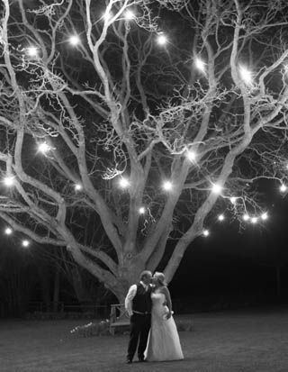 Tudor Photography Wedding Photography